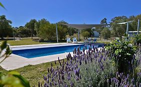 Beltana Villas